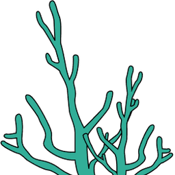 coral-right