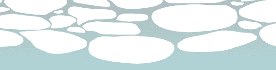 bottom bg